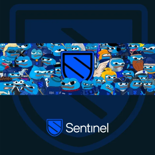 Sentinel's Directives: Empowering the dVPN Ecosystem